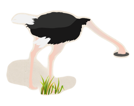 Ostrich Error